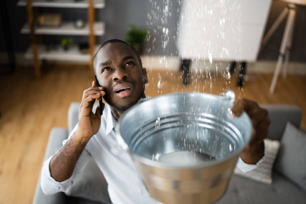 Best Basement water damage restoration  in Wright City, MO