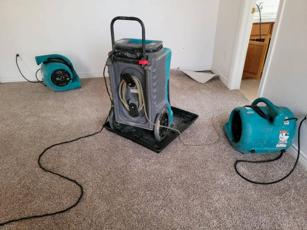 Best Water damage cleanup near me  in Wright City, MO